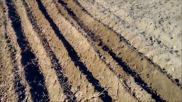 Нарезаю борозду под озимый чеснок, с помощью Мототрактора, Пора сажать Чеснок, 18-10-2022 г смотреть онлайн