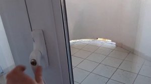 Поездка на машине в Минск из Москвы на Всемирную выставку кошек