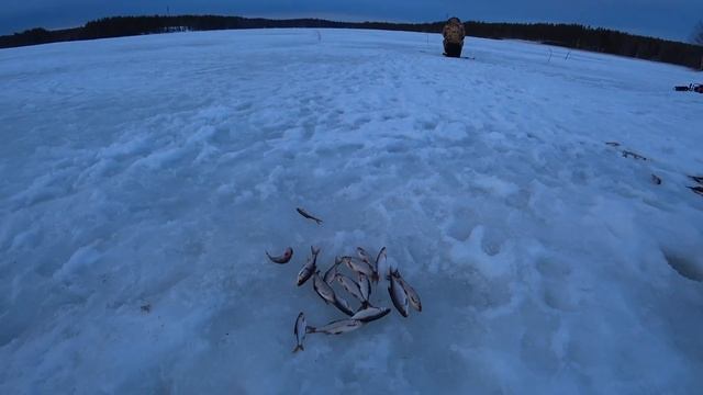 СУМАСШЕДШИЙ КЛЕВ НА ОЗЕРЕ В ФИНЛЯНДИИ / Зимняя рыбалка в Финляндии на Газ 66