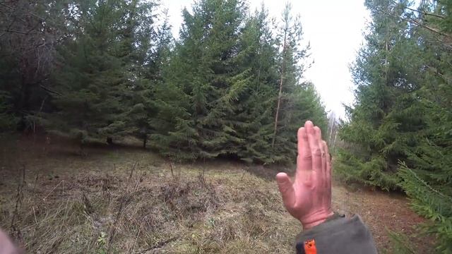 Чернотроп в ноябре! Именинный заяц! Охота с эстонской гончей 05.11.2023, в день рождения Бруно! смотреть онлайн