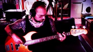 Zucchero Baila Morena Live bass cover