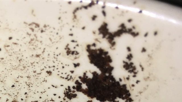 Гадание на кофейной ☕️ гуще на период с 27 февраля по 6 марта 2023 года смотреть онлайн