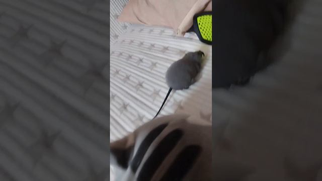 типичная реклама всякого говна смотреть онлайн