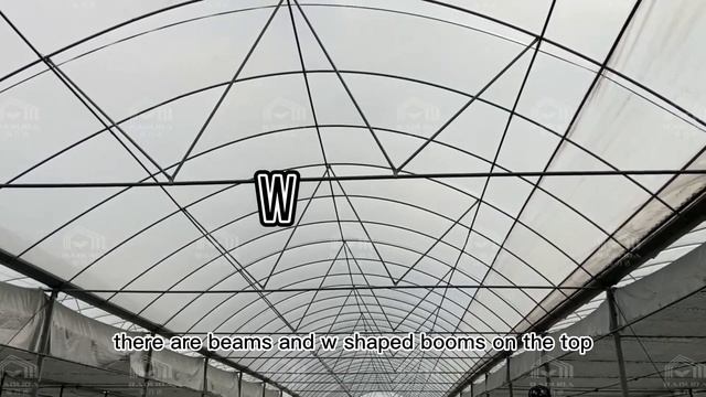 Galvanized Steel Pipe Arch Roof Type Plastic Film Greenhouse With Hydroponics System смотреть онлайн