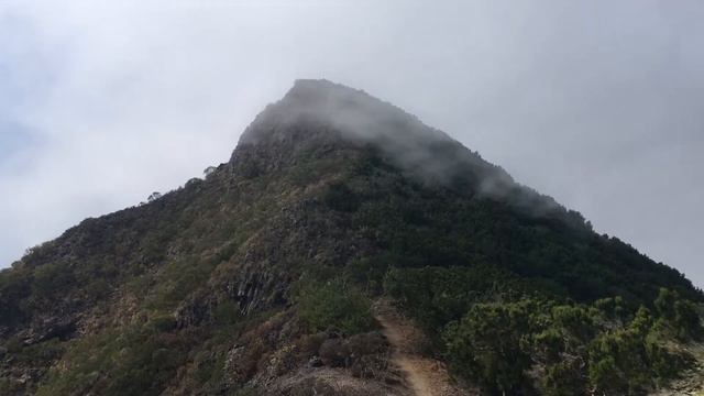 Какой климат в Плая Ла Арена, юго-запад острова Тенерифе??? ЖАРА! www.gidtenerife.ru смотреть онлайн