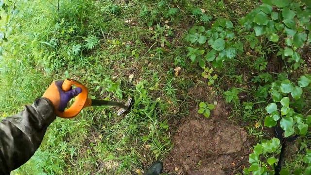 ПРОВЕРИЛИ СВЕЖИЕ ДЕЛЯНКИ НА НАЛИЧИЕ МЕТАЛЛЛОЛОМА + МАЛЕНЬКАЯ ДЕРЕВУШКА ПО ПУТИ