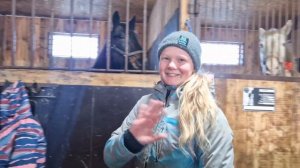 ИСПАНСКИЙ ШАГ🤠 КАК НАУЧИТЬ ЛОШАДЬ? | ВЫСШАЯ ШКОЛА ВЕРХОВОЙ ЕЗДЫ ЗА ОДНО ЗАНЯТИЕ! ТАЛАНТЛИВАЯ ЛОШАДЬ