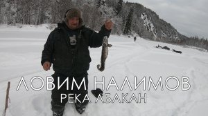 Ловим НАЛИМОВ ЗИМНЯЯ РЫБАЛКА 2022 ДЕКАБРЬ РЕКА АБАКАН