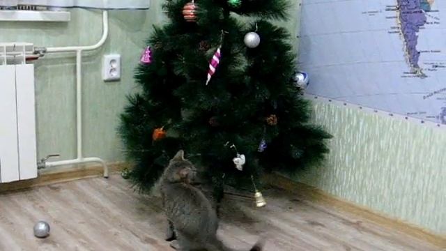 смеющаяся елка. смеющаяся елка. смех у ёлочки. елочка с глазками. музыкальный клип ёлочки смехуёлочки.