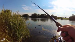 Ловля ОКУНЯ НА ВЕРТУШКУ с берега. СПИННИНГ летом В ЖАРУ