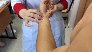 осмотр, пальпация и перкуссия, аускультация сердца