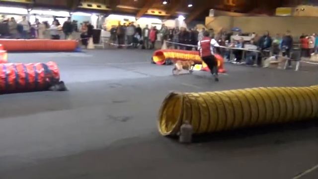 Элла.31.03.2013. Туннельные соревнования (Рига, Кипсала). 2-я трасса смотреть онлайн