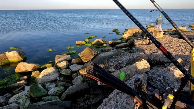 Рыба не клюет, но снял пошаговую инструкцию как я начинаю ловлю пелингаса. Бердянск. Азовское море смотреть онлайн