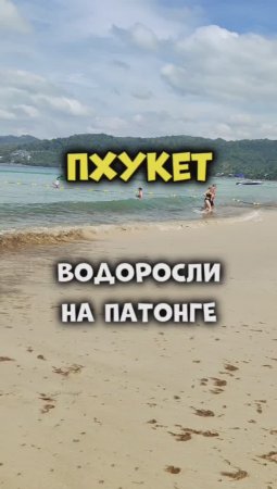 Бесплатный СПА на Патонге 🌿 Водоросли заполонили пляж 🏖