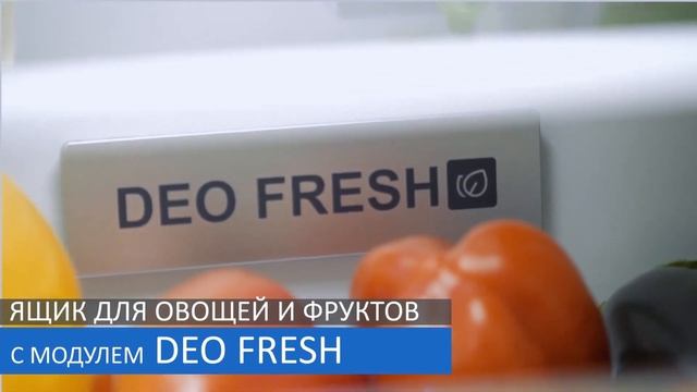 Обзор холодильника Haier C3F532CMSG/C3F532CWG смотреть онлайн