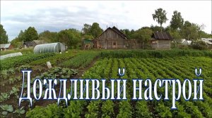 Бывают дни, когда опустишь руки... // Не бодрое настроение // Жизнь в деревне