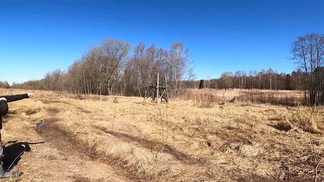 ? Коп Поиск монет и кладов с металлоискателем 2021 год