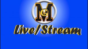 СТРАННЫЙ МИР  | Palworld