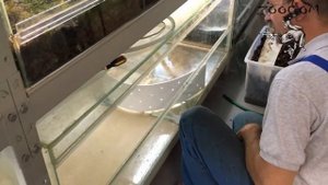 Как сделать фильтр в террариуме.