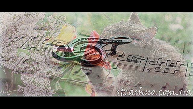 10 самых важных знаков от Ангела хранителя