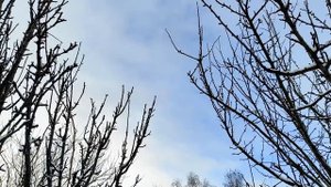 Как эгоисты ведут себя в отношениях.