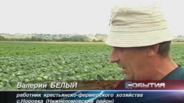 овощи