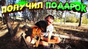 Подарок от подписчика - НЕМЕЦКИЙ ЯГДТЕРЬЕР - БОЙ