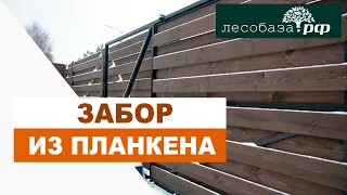 Забор из планкена _ Лесобаза.РФ