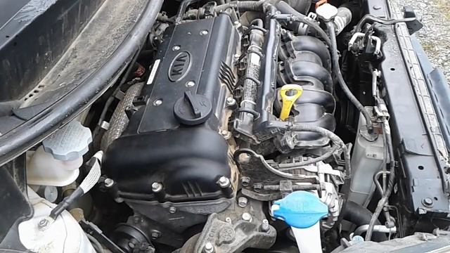 DISMANTLING 2016 KIA RIO HATCH 1.4LT G4FA PETROL AUTO C4722 смотреть онлайн