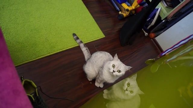 Тренька1 Разминка смотреть онлайн