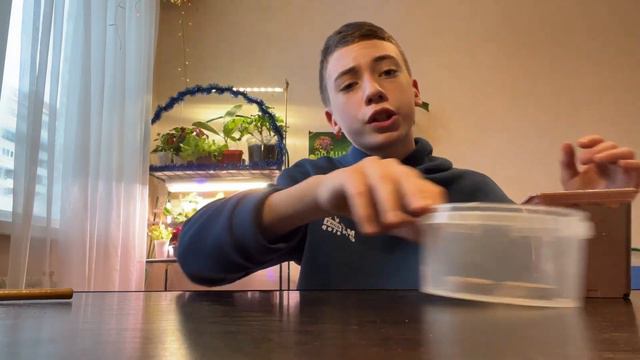 ПОСЕЙТЕ ЗЕМЛЯНИКУ на РАССАДУ ТАК! Получите урожай в первый год!