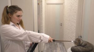 КАК УГОВОРИТЬ МАМУ КУПИТЬ СОБАКУ ПРЯМО СЕЙЧАС