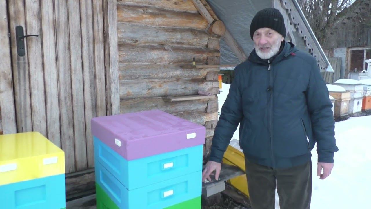 февраль. ЧТО НАДО УСПЕТЬ СДЕЛАТЬ к пчеловодному сезону