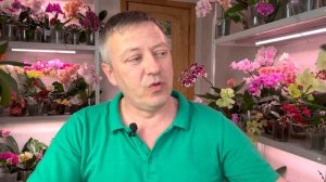 лучший грунт для орхидей / в чем посажены самые ДОРОГИЕ орхидеи