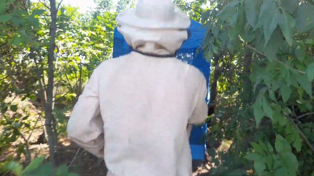 Качаємо мед. Липа 2022 смотреть онлайн