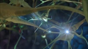 НАстрой читает автор СЫТИН Г Н