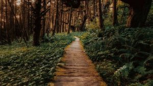 Liquid Drum and Bass Mix #126