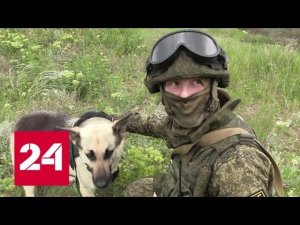 Российские саперы занимаются разминированием завода "Титан" - Россия 24