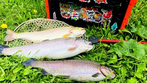 Форель кидается на эти блесна Ловля форели на спиннинг и блесна Ronin Rush