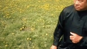 Илицюань | Грандмастер Чин Фансён / Iliqchuan | Grandmaster Sam F. S. Chin