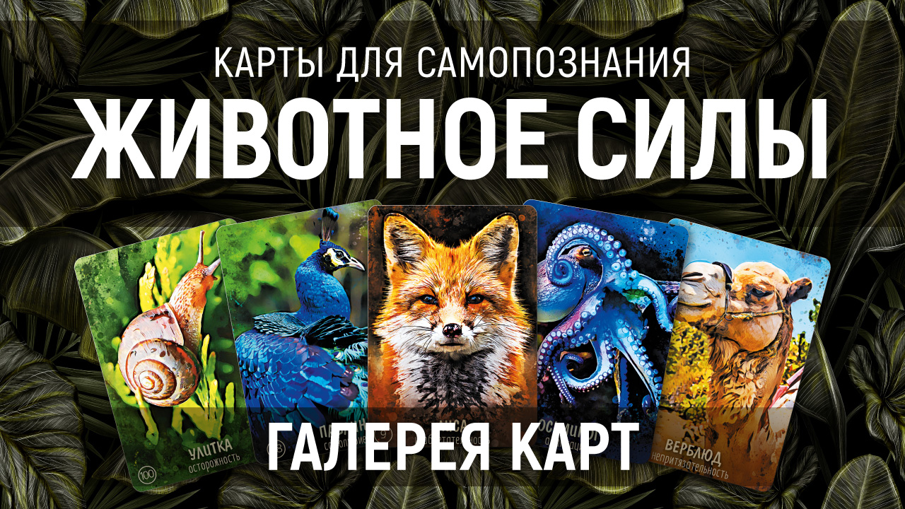 Карты "Животное силы" — галерея