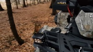 Обзор Стелс Гепард 650 после первого ТО.