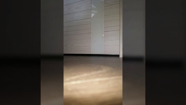 Как работает авто порог межкомнатной двери смотреть онлайн