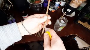 Способ проращивания смородины. 100% результат укоренения черенков