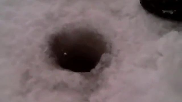 Жерлицы и результат. Как правильно установить жерлицу. Красновидово. Можайское водохранилище смотреть онлайн