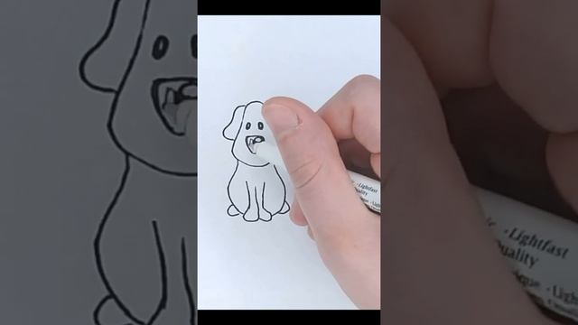 Как нарисовать собаку просто, красиво и быстро для начинающих | Рисовать ЛЕГКО и просто #Shorts