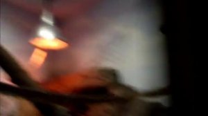 Маленькие обезьянки (игрунка,саймири. краснобрюхие тамарины) в зоопарке.16.12.17г.