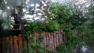 Беседка из дровяного горбыля три года спустя.