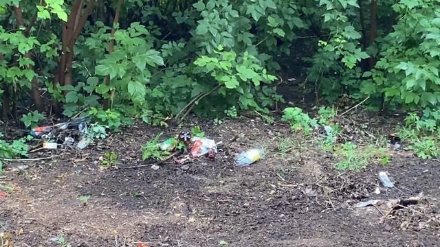 Уборка леса детскими граблями, часть 1 из 2 смотреть онлайн