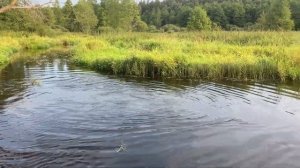 Вечеринка в стиле 90-х. День рождения Дашки. Беларусь, деревня Быковичи, Агроусадьба «КЛЁВАЯ».